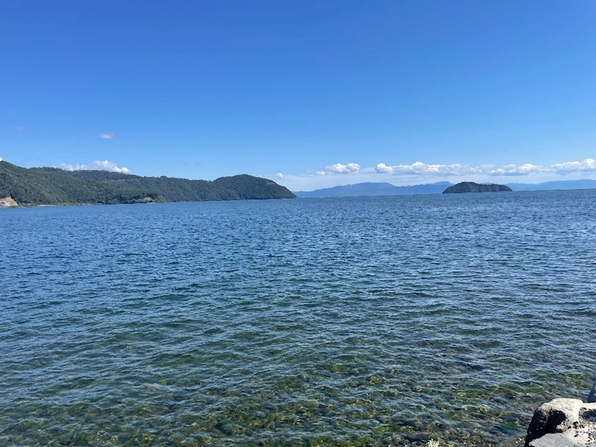 春野 じゅり