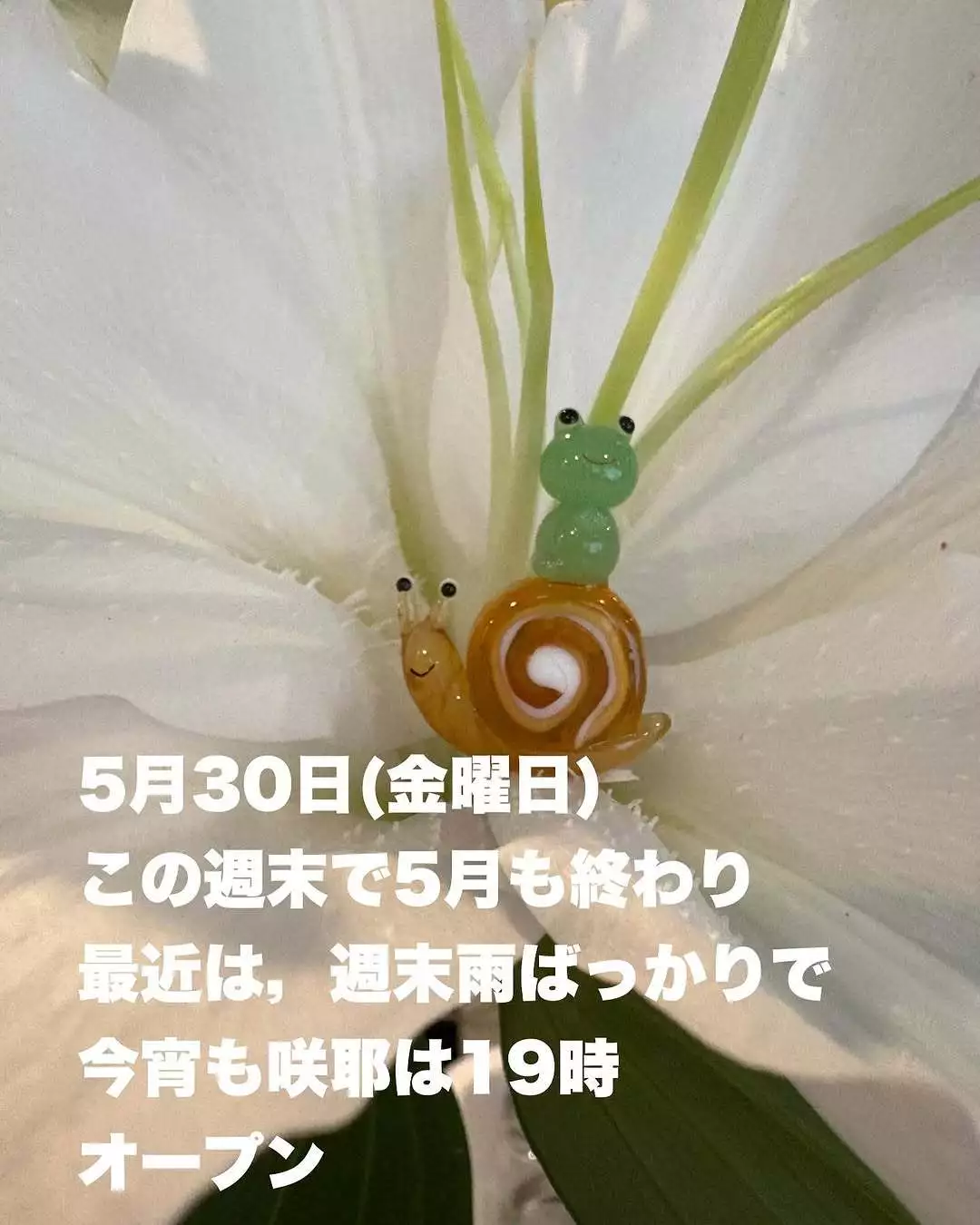 藤本 祐子ママ