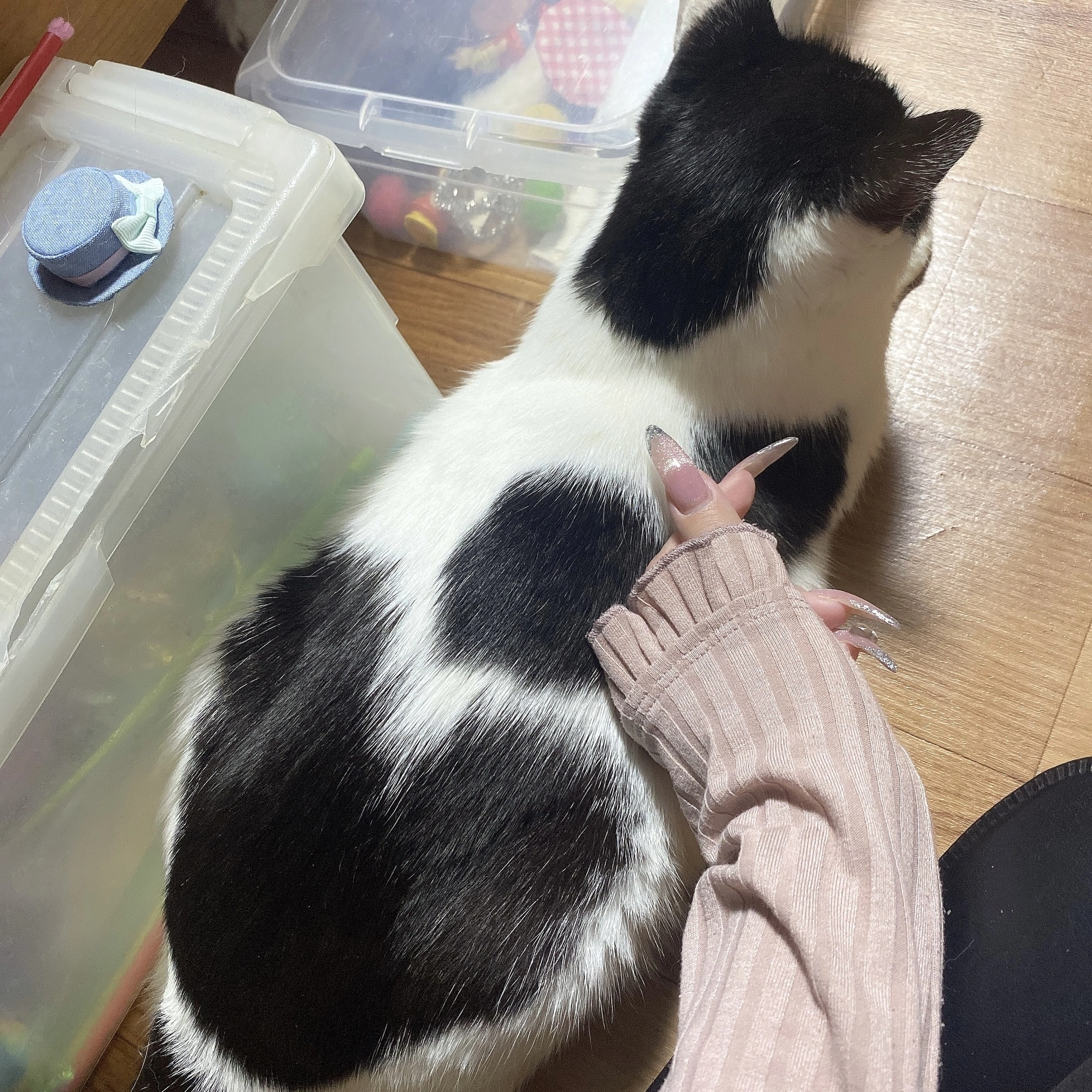 冬乃 ゆき