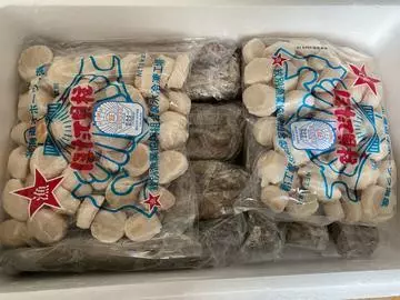 長瀬 純恋