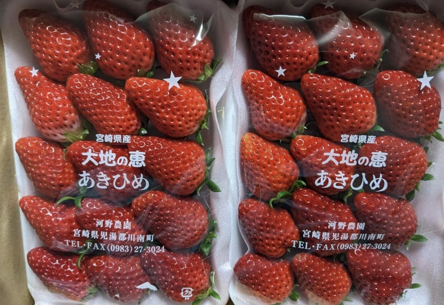 五条 椿