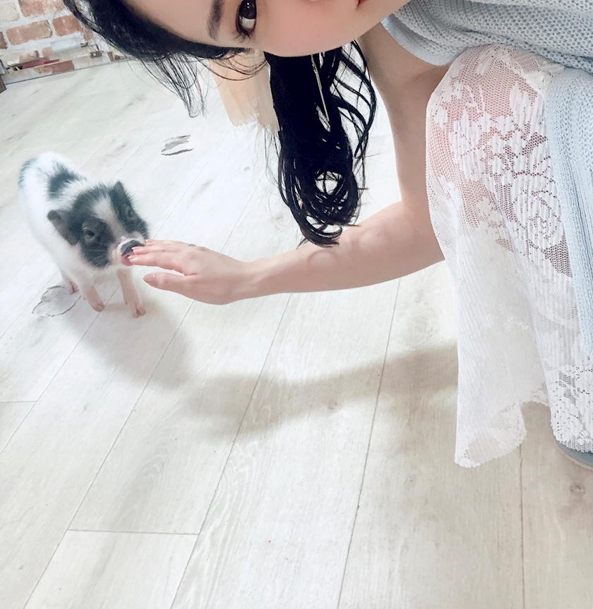 さくら