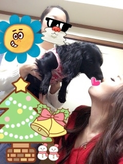 りえ