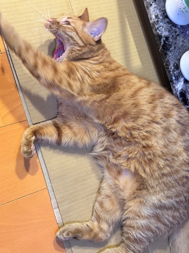 らい
