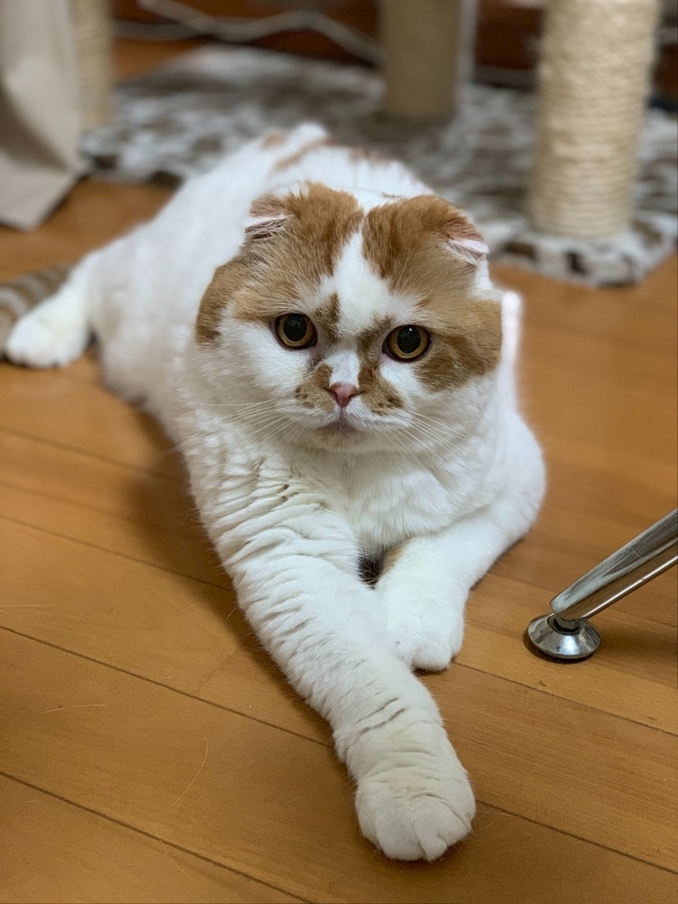れみ