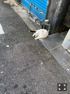 りか