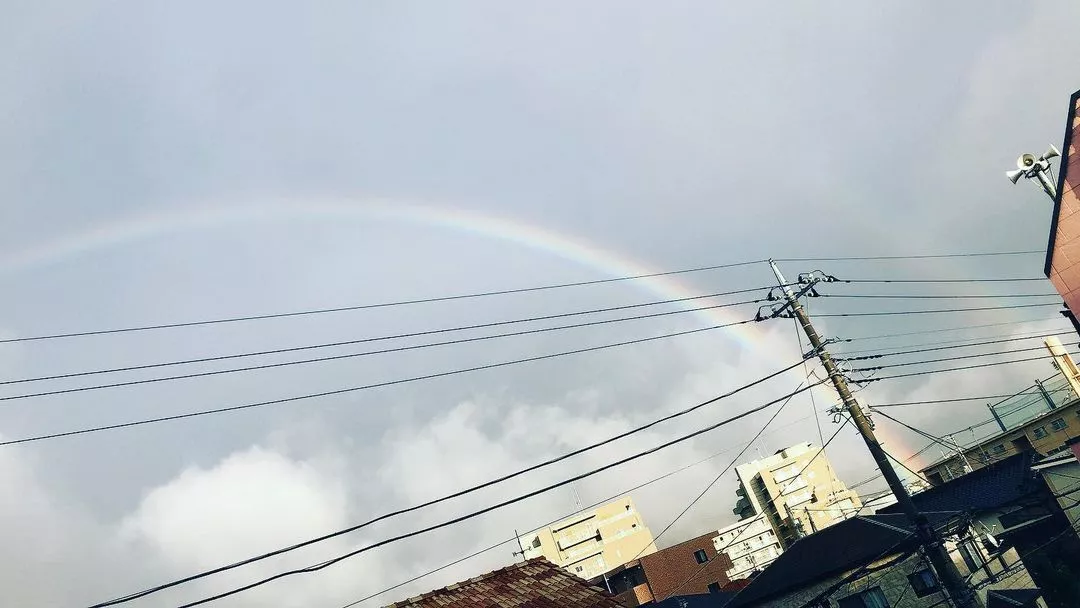 愛結