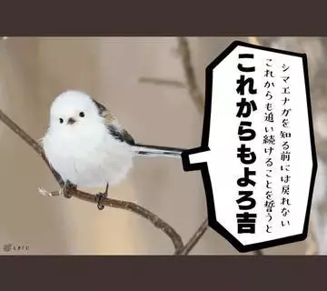 ひな