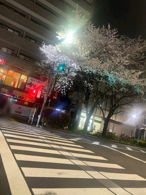 かずき