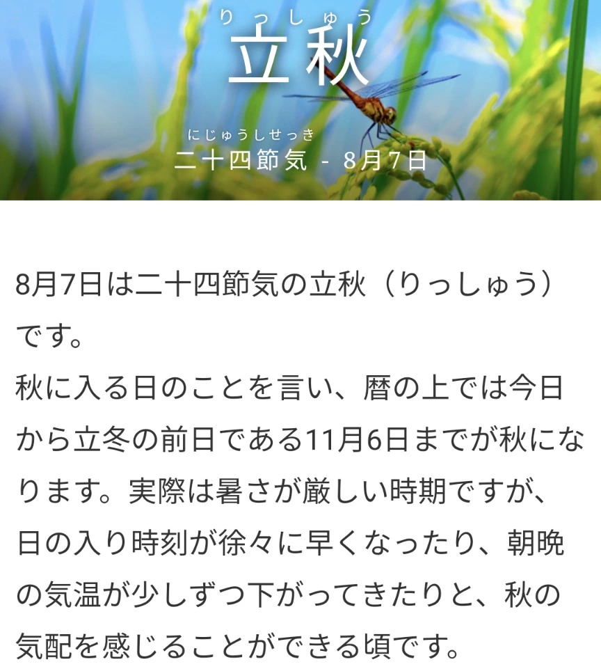 五条 椿