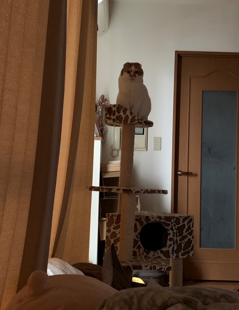 れみ