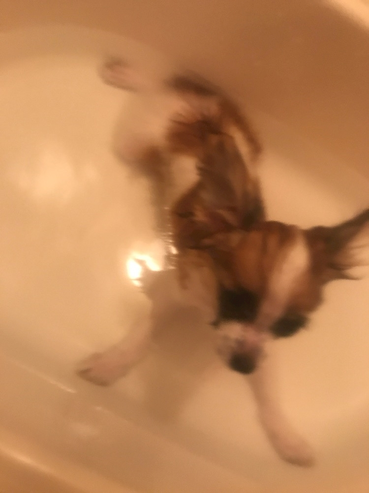 ティナ
