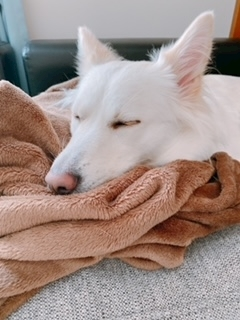 京 さゆみ