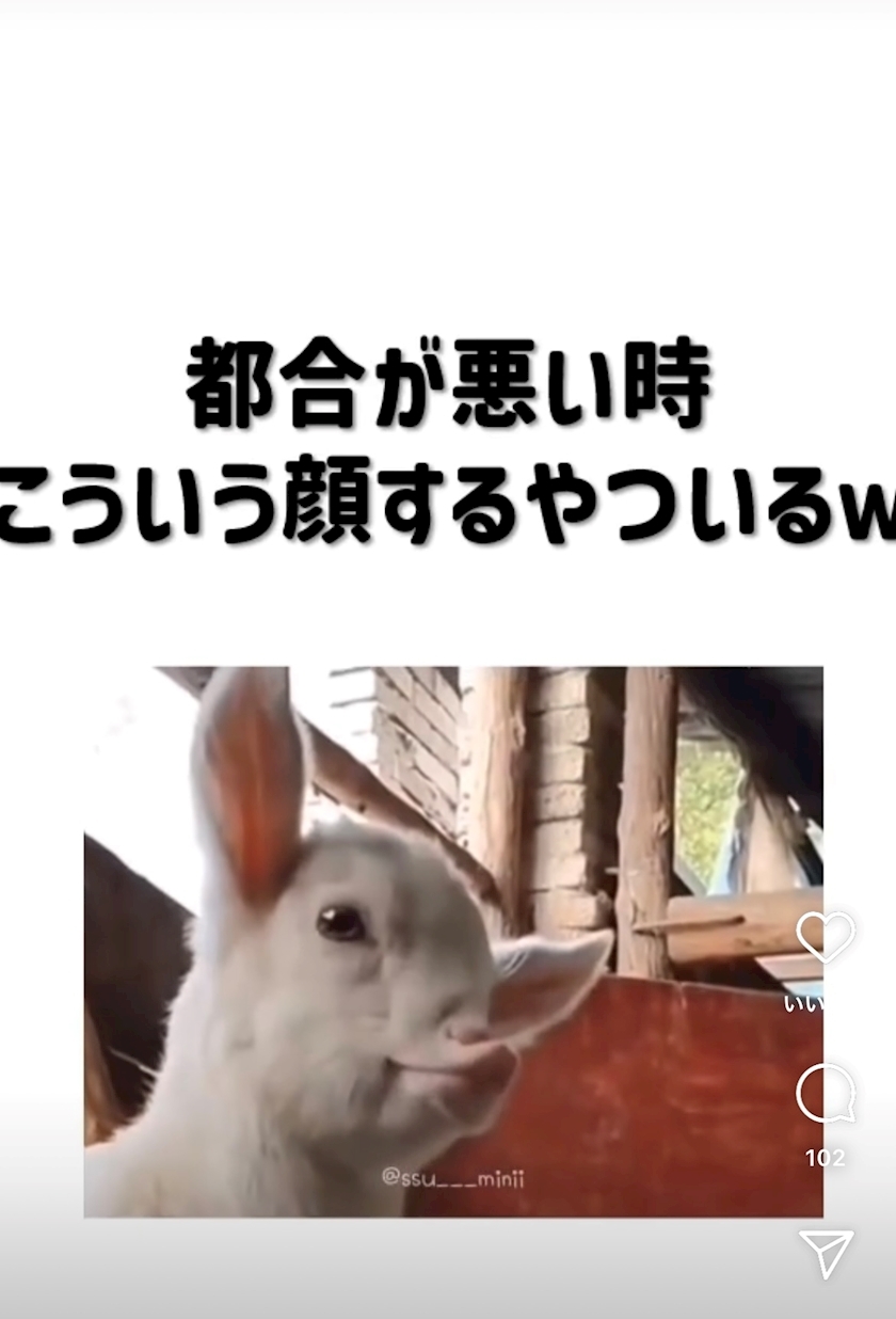 えりか