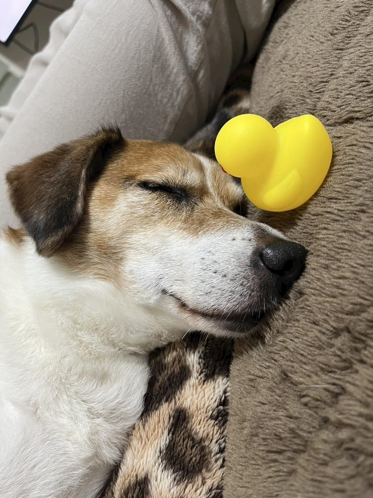 れお