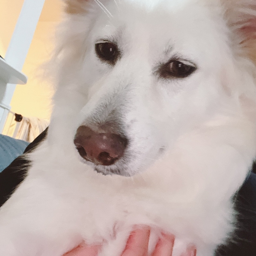 京 さゆみ