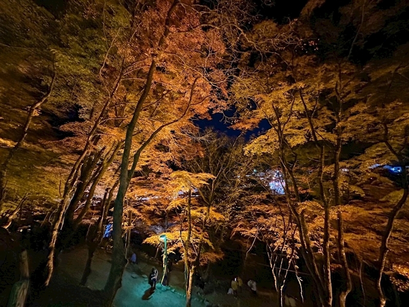 五条 はるな