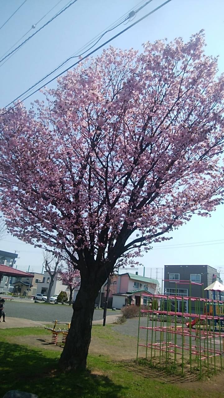 宝條 夏恋