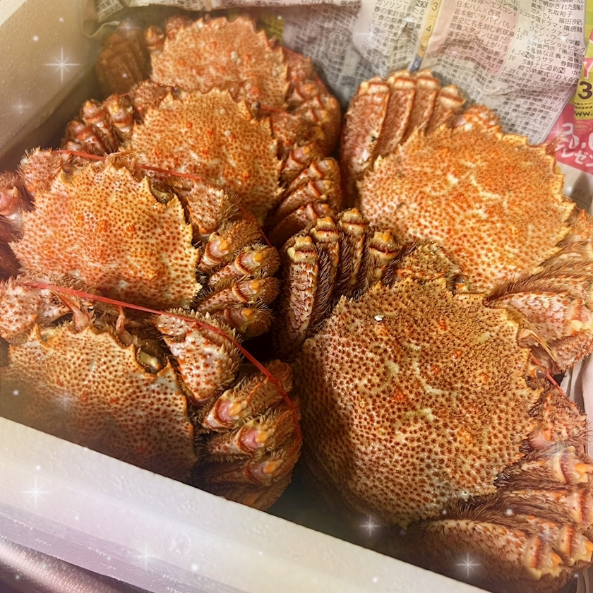 杉谷 ちなみ