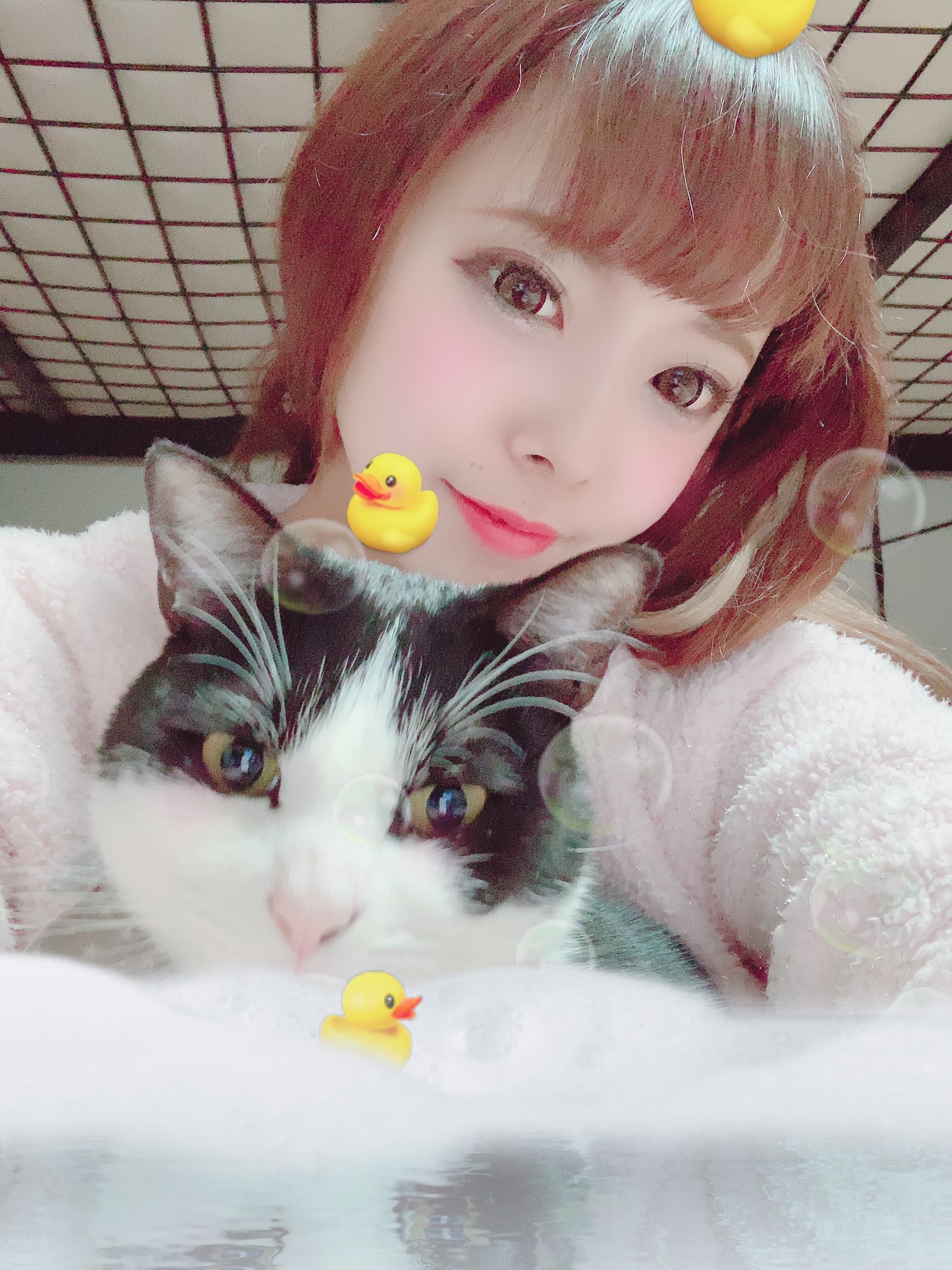 莉恋