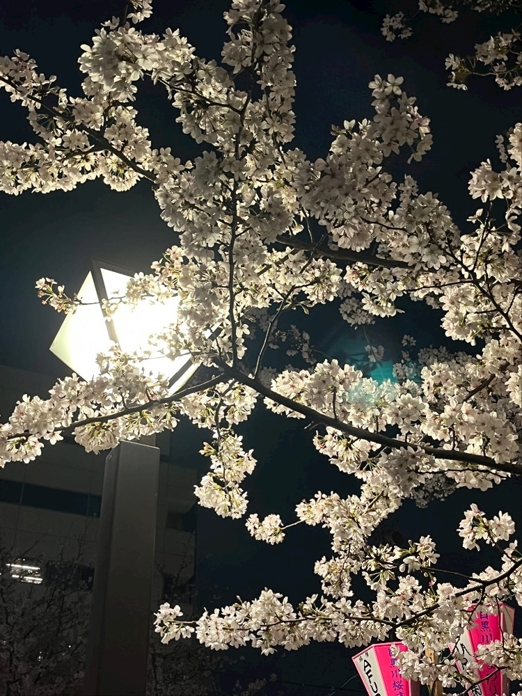 あや