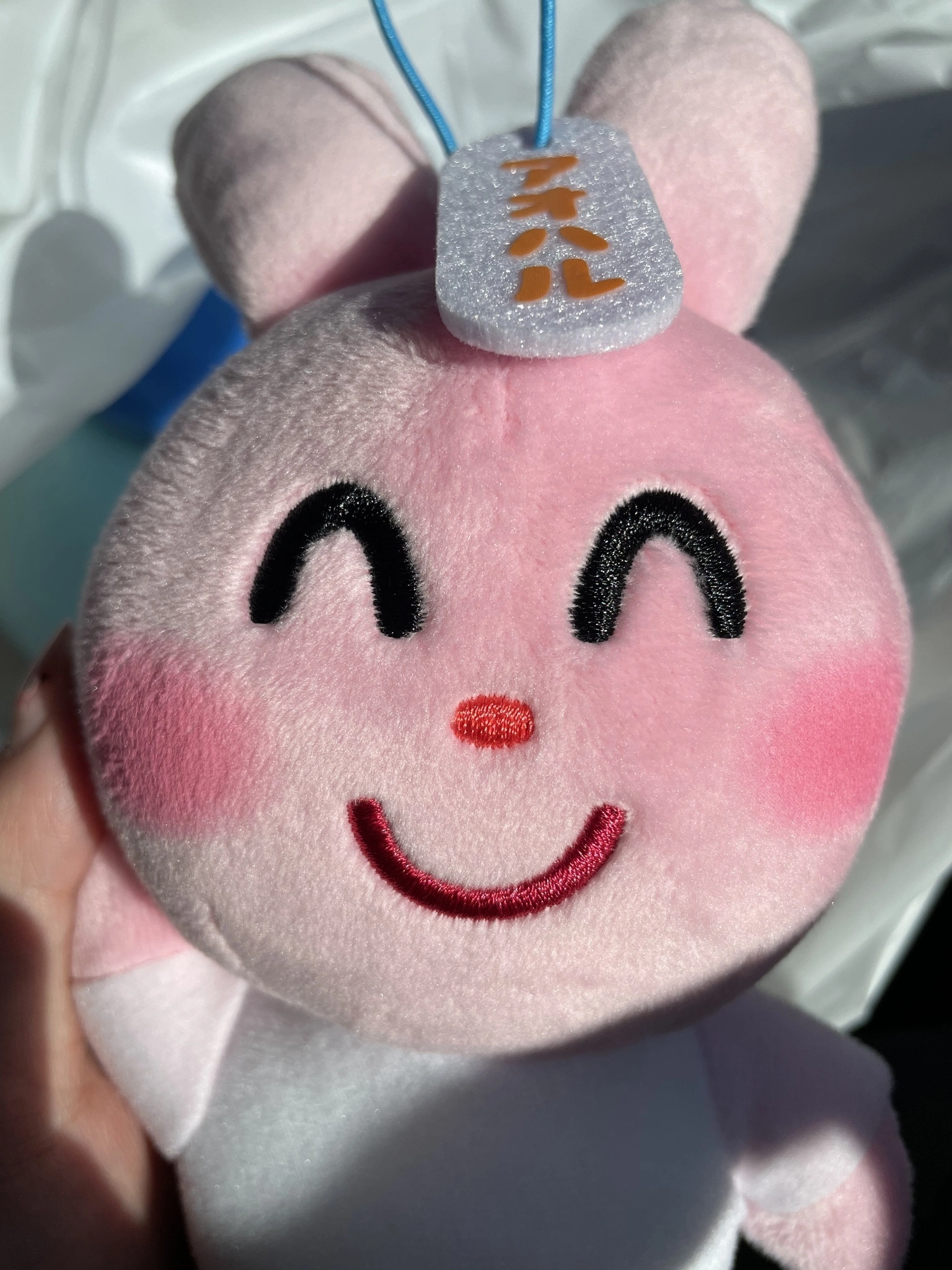 ねぎま