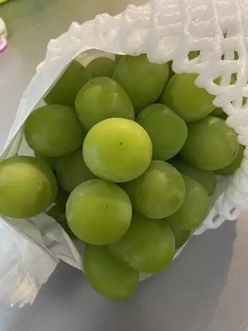 白石 愛莉