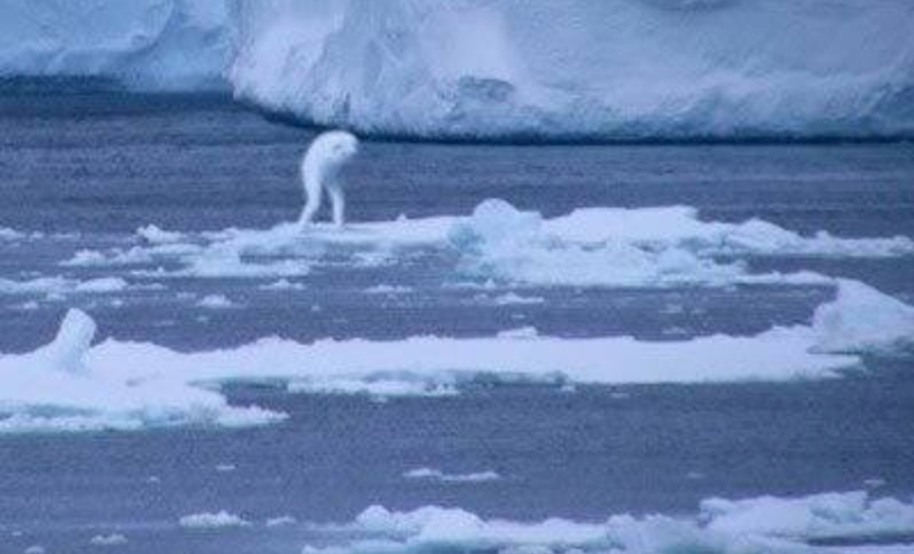 ゆあ