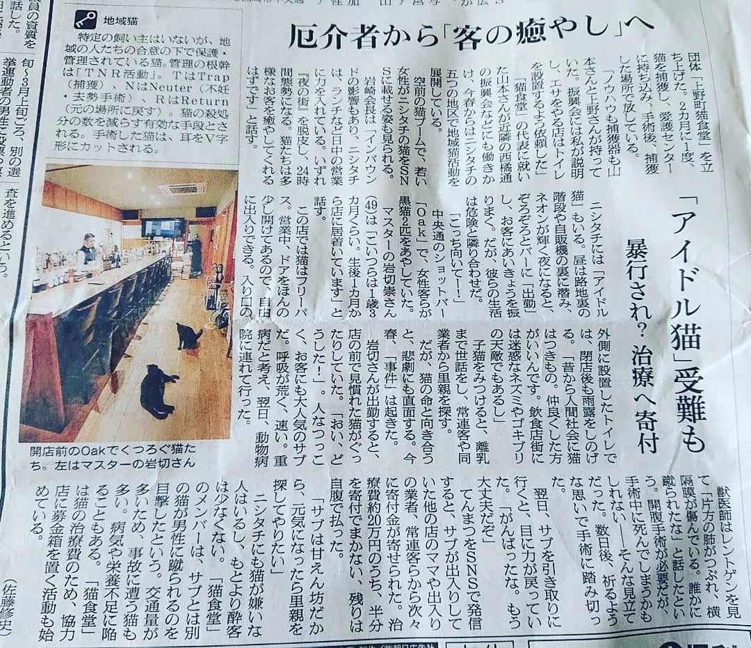 五条 椿