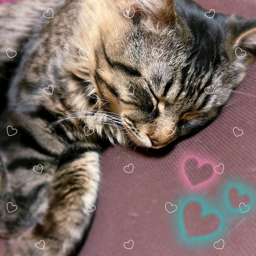 杉谷 ちなみ