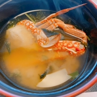 京 さゆみ