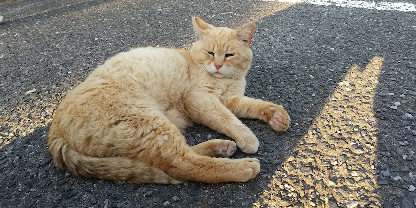 まりん