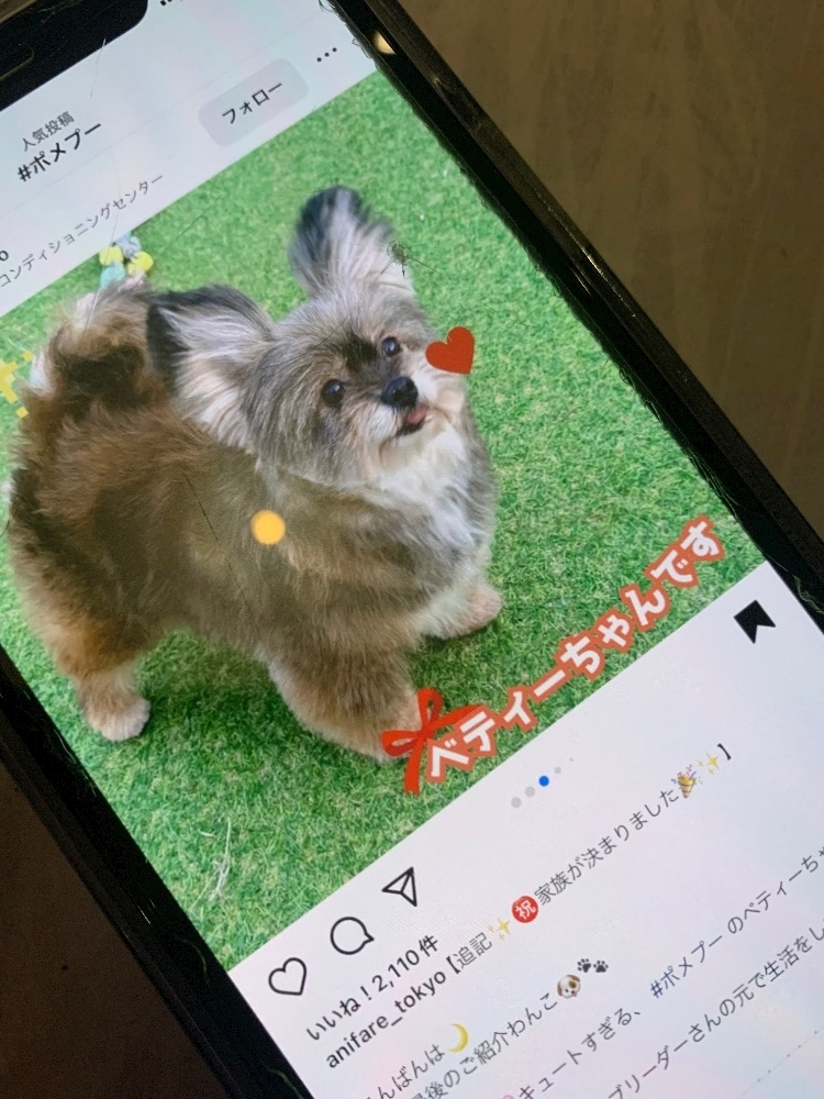 藤花 ゆの