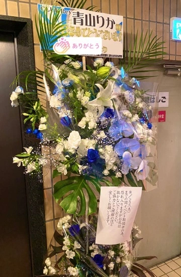 美嘉
