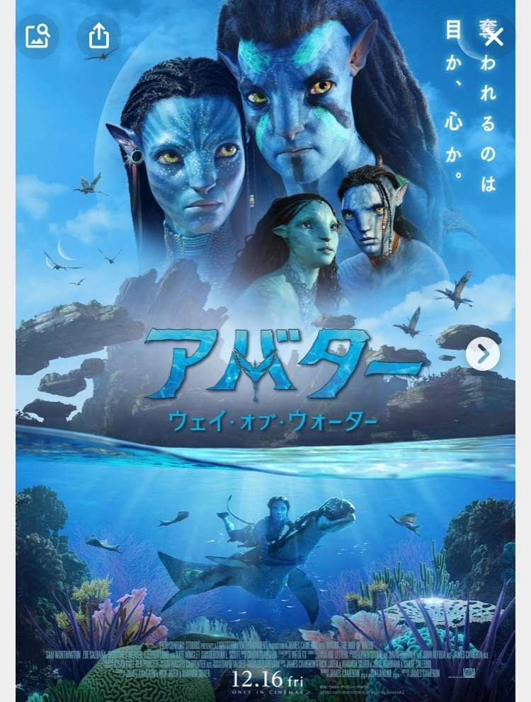 エリカ