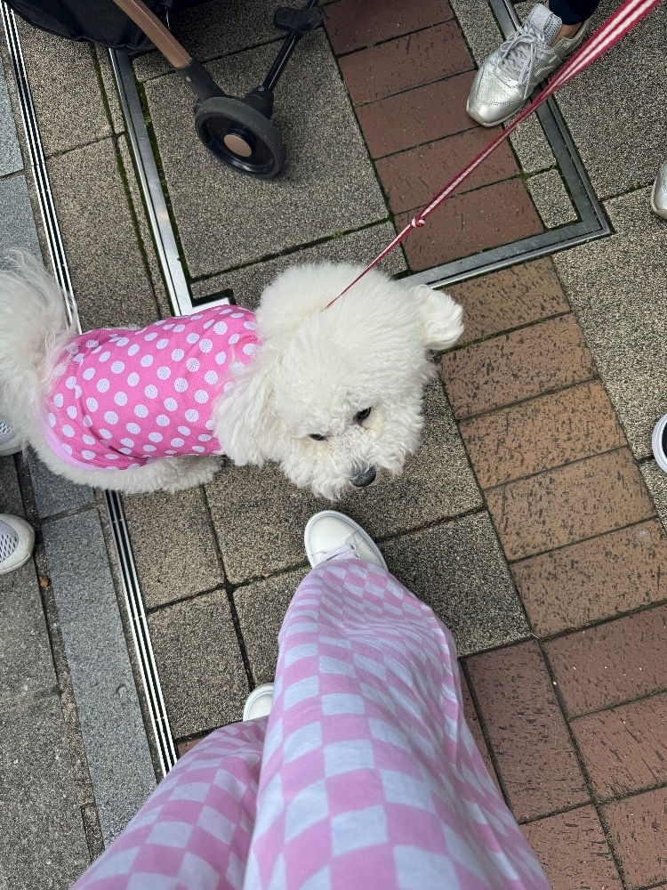 ちひろ