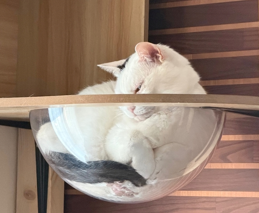 結城 かなの