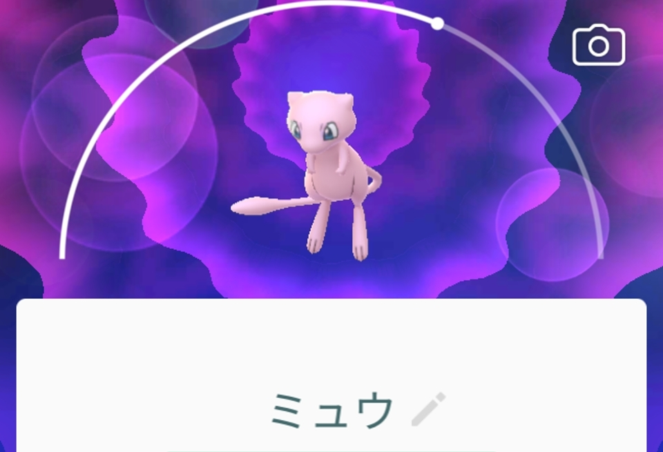 五条 椿