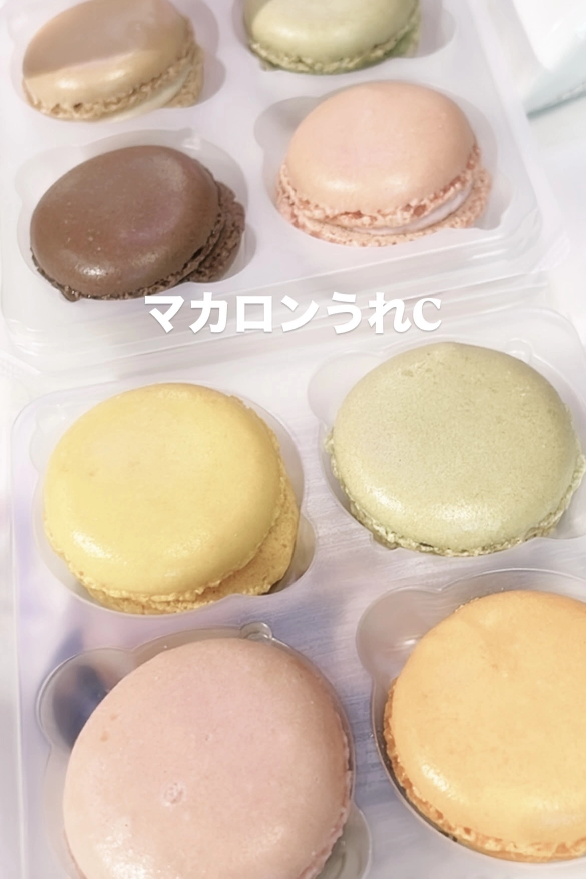 小鳥遊 もか