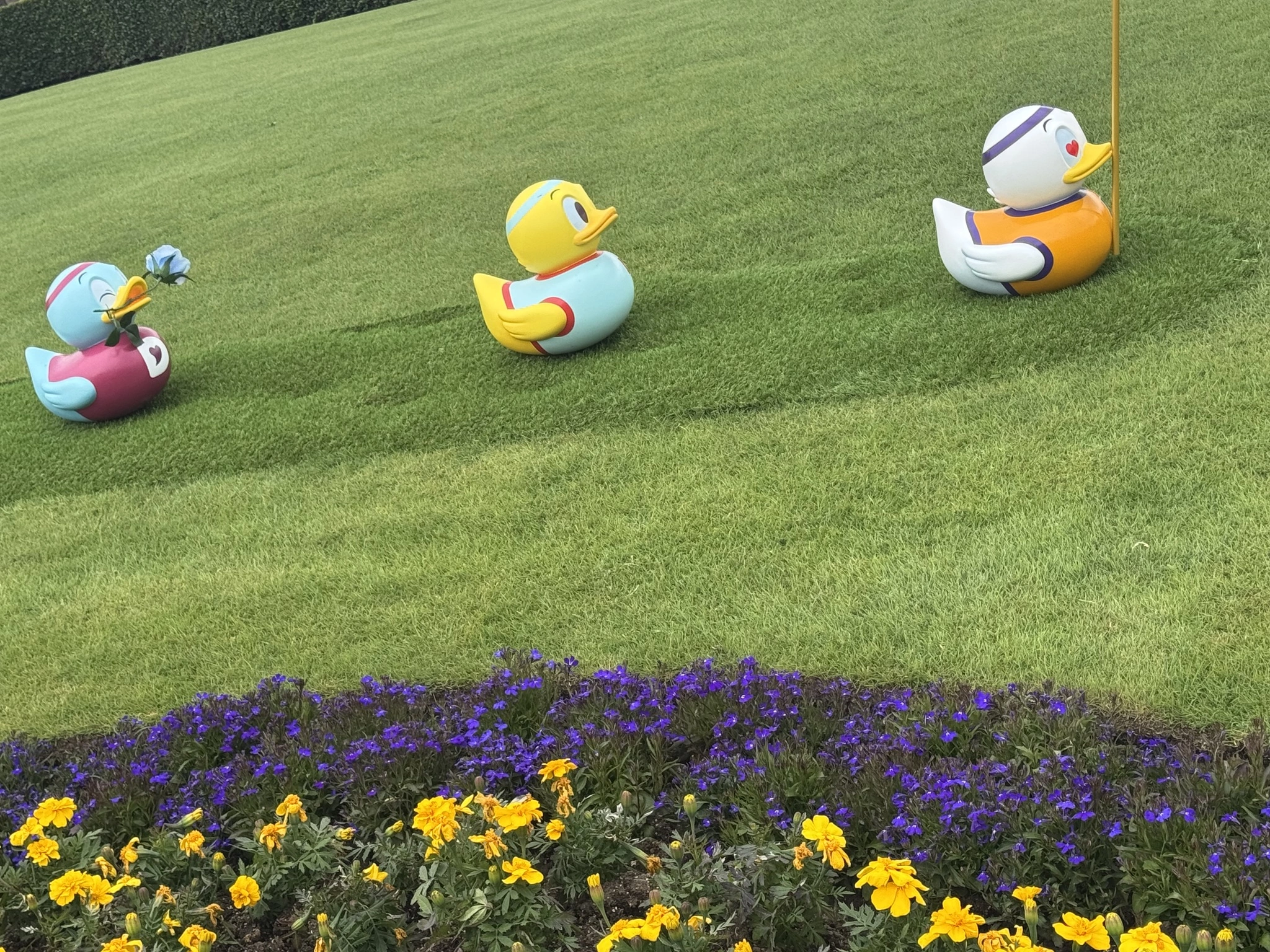 まき