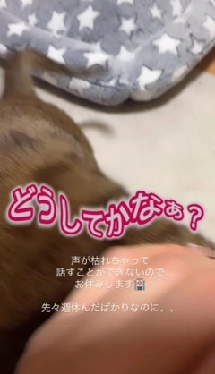 灯 ひなた
