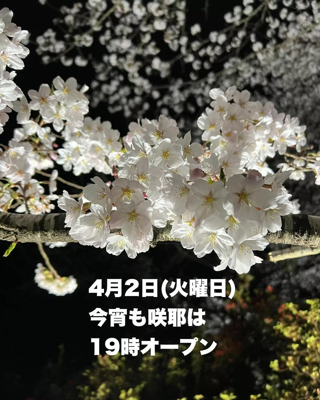 藤本 祐子ママ