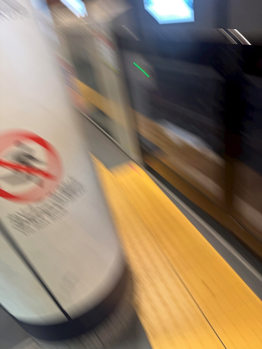 せいか