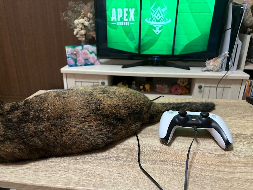 藤花 ゆの