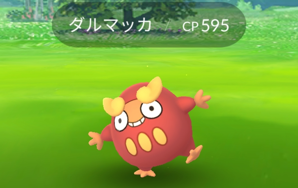 五条 椿