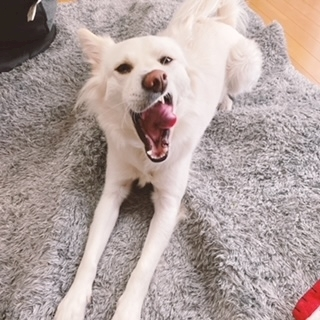 京 さゆみ