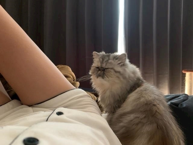 妃乃 すず