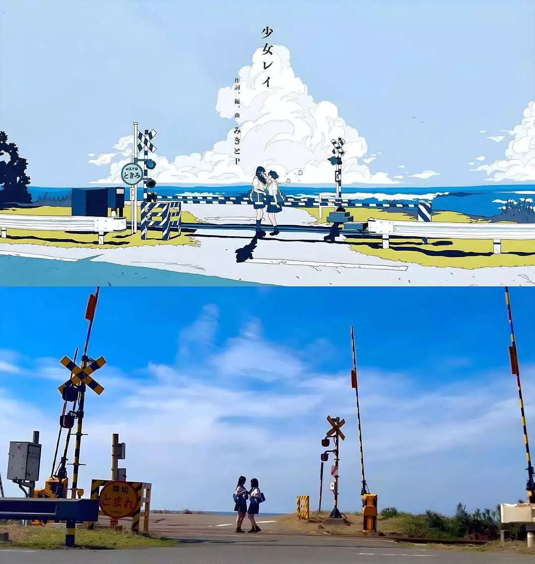 サヤ