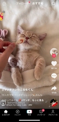 里奈
