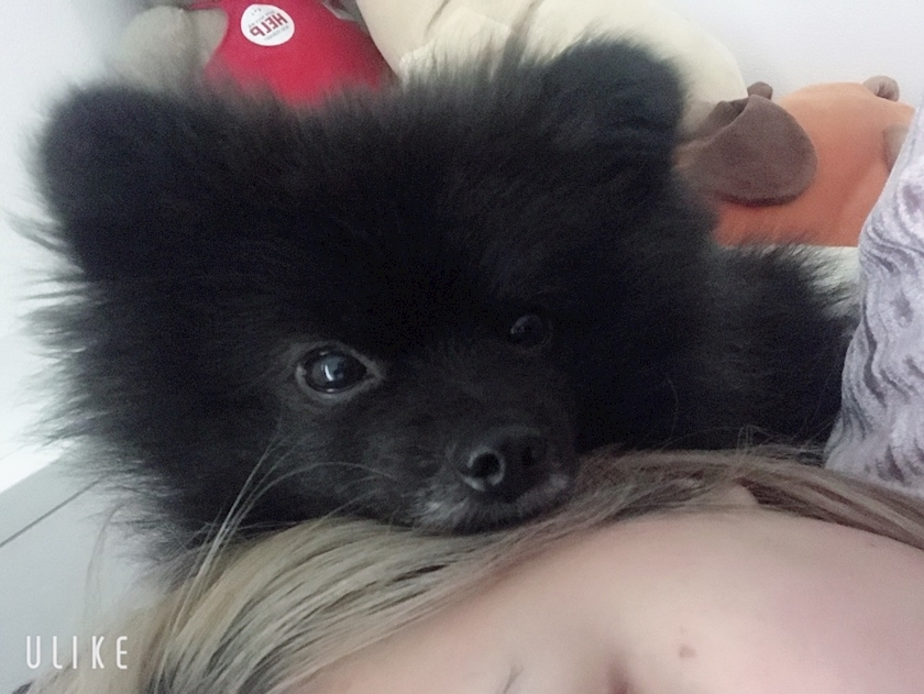 ティナ